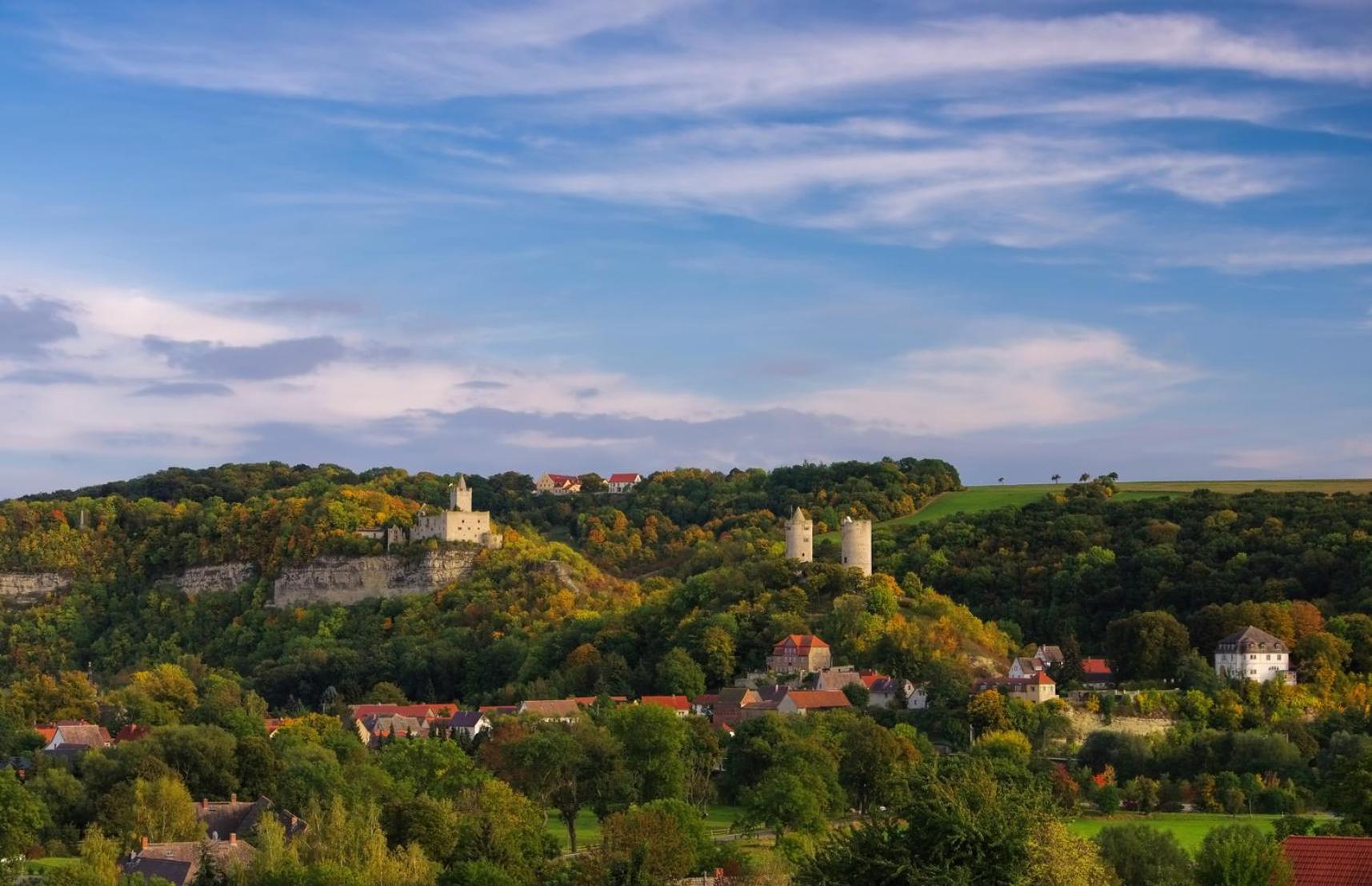 Weinquartier Weingarten * Naumburg (Saale)